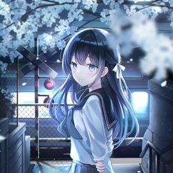 This is a pixiv picture whose title is 夕桜(lastday).