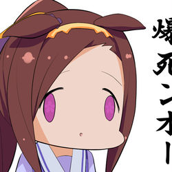 This is a pixiv picture whose title is ウマ娘のガチャで有償ジュエル全部溶かす人の顔.