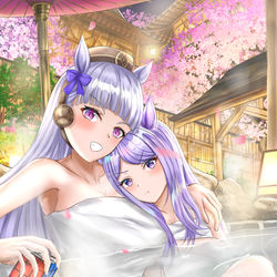 This is a pixiv picture whose title is ゴルシ&マックイーンと温泉.