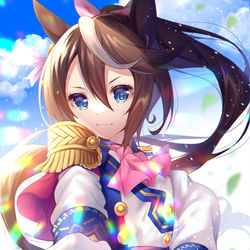 This is a pixiv picture whose title is トウカイテイオー.