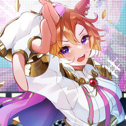 This is a pixiv picture whose title is テイエムオペラオー.