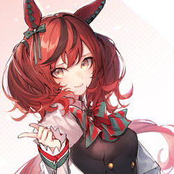 This is a pixiv picture whose title is ナイスネイチャ.