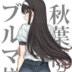 This is a pixiv picture whose title is 秋葉様のブルマ様.