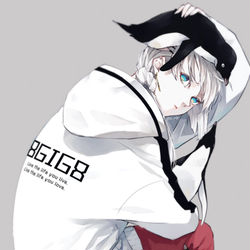 This is a pixiv picture whose title is アデリー.