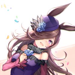This is a pixiv picture whose title is ライスシャワー.