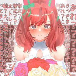 This is a pixiv picture whose title is ナイスネイチャ③.