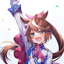 This is a pixiv picture whose title is トウカイテイオー.