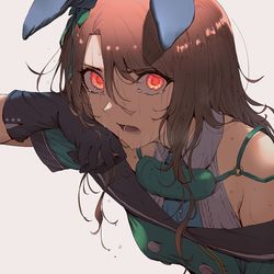 This is a pixiv picture whose title is キングヘイロー.