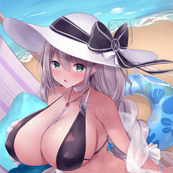 This is a pixiv picture whose title is アクィラ.