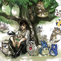 This is a pixiv picture whose title is 「いろんな物語のフクロウさん」.