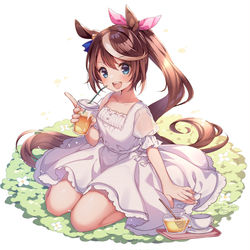 This is a pixiv picture whose title is トウカイテイオー.