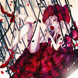 This is a pixiv picture whose title is 薔薇籠.