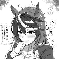 This is a pixiv picture whose title is ウマ娘　シンボリルドルフ.