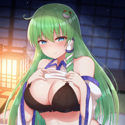 This is a pixiv picture whose title is 早苗さん….