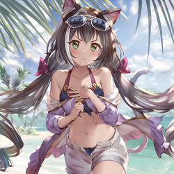 This is a pixiv picture whose title is バカンス.
