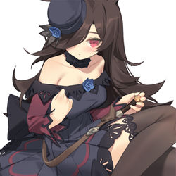 This is a pixiv picture whose title is ライスシャワー.