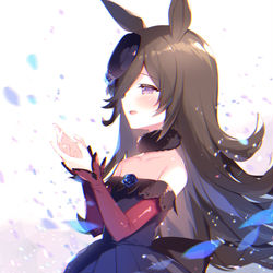 This is a pixiv picture whose title is ライスシャワー.