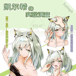 This is a pixiv picture whose title is 凯尔希的实验调查报告.