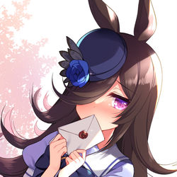 This is a pixiv picture whose title is ライスの想い…ちゃんと届くといいなぁ.
