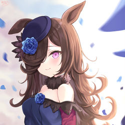 This is a pixiv picture whose title is ライスシャワー.