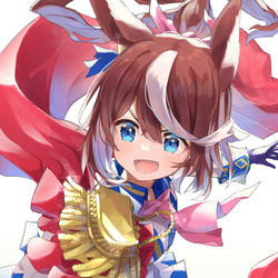 This is a pixiv picture whose title is トウカイテイオーちゃん.
