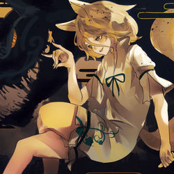 This is a pixiv picture whose title is fox.