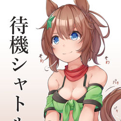 This is a pixiv picture whose title is じっとずっとただ待つタイキシャトル.