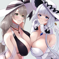This is a pixiv picture whose title is アクィラｘイラストリアス.