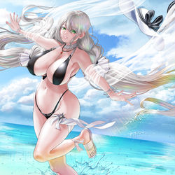 This is a pixiv picture whose title is アクィラ.