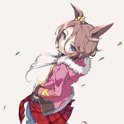 This is a pixiv picture whose title is ナリタタイシン.
