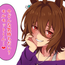 This is a pixiv picture whose title is タキオンに弄ばれたい.