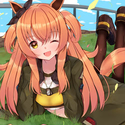 This is a pixiv picture whose title is Victory!!.
