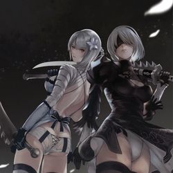 This is a pixiv picture whose title is カイネ&2B.
