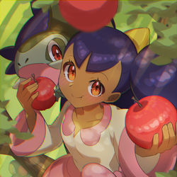 This is a pixiv picture whose title is アイリス アニポケ再登場まとめ.