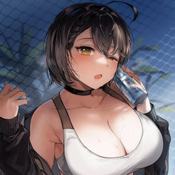 This is a pixiv picture whose title is ボルチモア.
