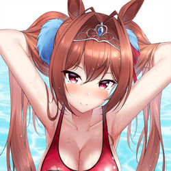 This is a pixiv picture whose title is ダイワスカーレット.