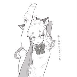 This is a pixiv picture whose title is ねこです.