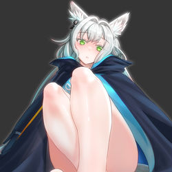 This is a pixiv picture whose title is 迷迭香 Rosmontis ロスモンティス.
