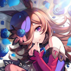 This is a pixiv picture whose title is ライスシャワー.