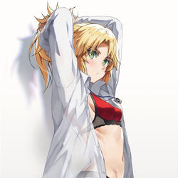 This is a pixiv picture whose title is 猫とモードレッド.