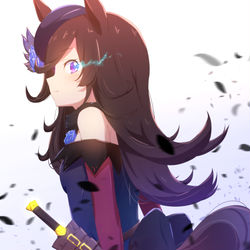 This is a pixiv picture whose title is ライスシャワー.