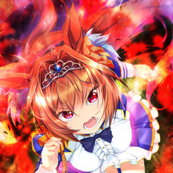 This is a pixiv picture whose title is 夢の扉が今開かれた！.