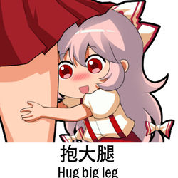 This is a pixiv picture whose title is 东方Project-藤原妹红.