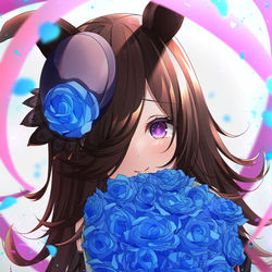 This is a pixiv picture whose title is ライスシャワー.