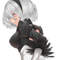 This is a pixiv picture whose title is 2B.