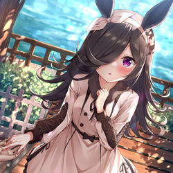 This is a pixiv picture whose title is ライスちゃん.