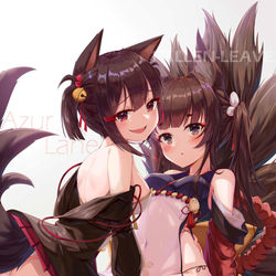 This is a pixiv picture whose title is 天城＆赤城.
