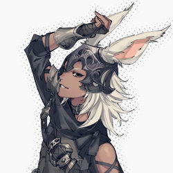This is a pixiv picture whose title is ヴィエラ.