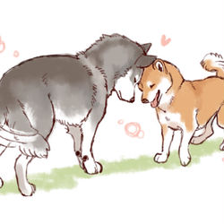 This is a pixiv picture whose title is でこぴと.