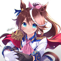 This is a pixiv picture whose title is トウカイテイオー.